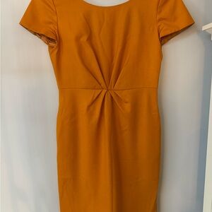 J Crew burnt orange lined Dress